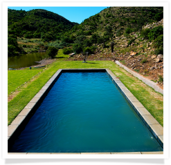 Hippo Pools